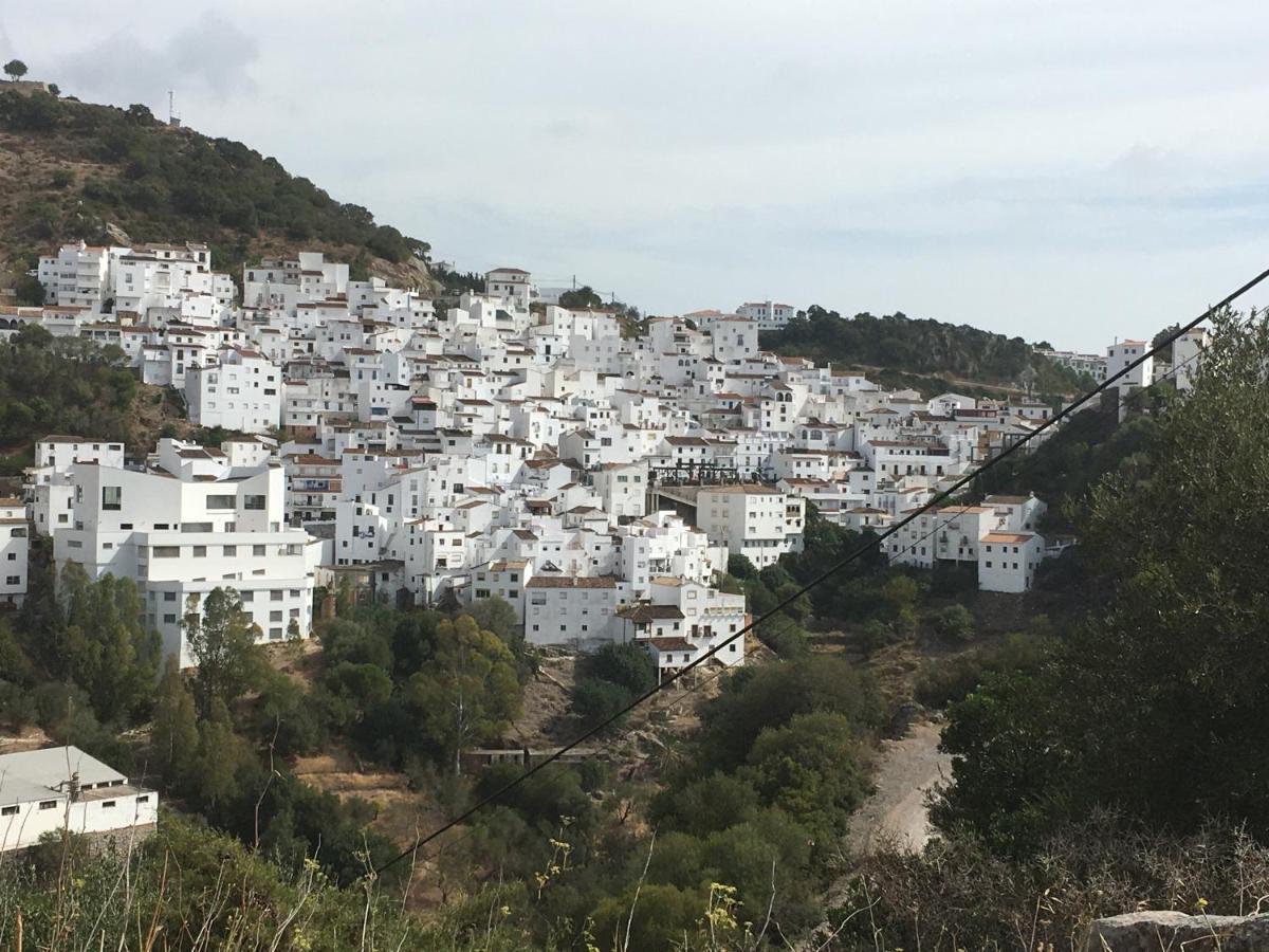Casares Vacations Lägenhet Exteriör bild